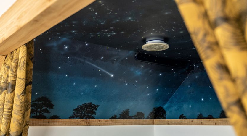 Photo of Teddy Bear's Picnic