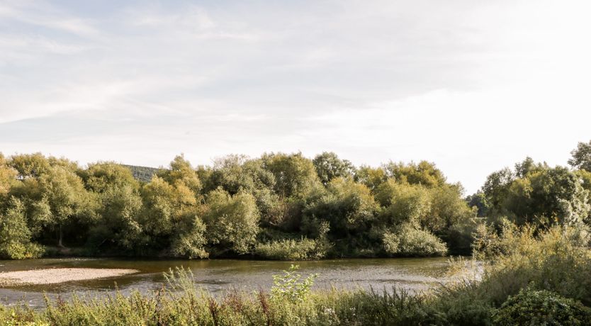 Photo of Steel Works Farm