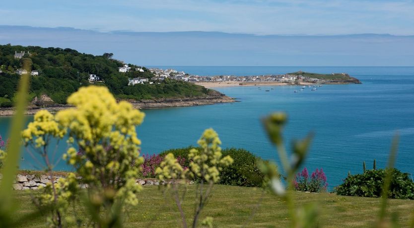 Photo of The Indigo Blue