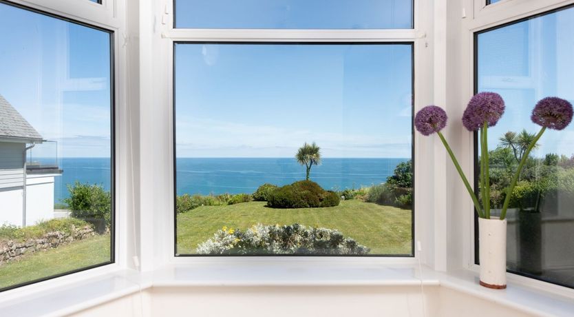 Photo of The Indigo Blue