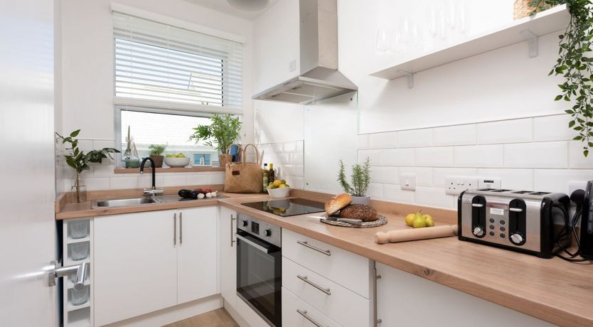 Photo of The Indigo Blue