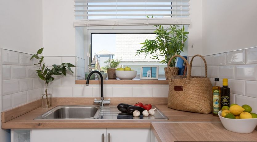 Photo of The Indigo Blue