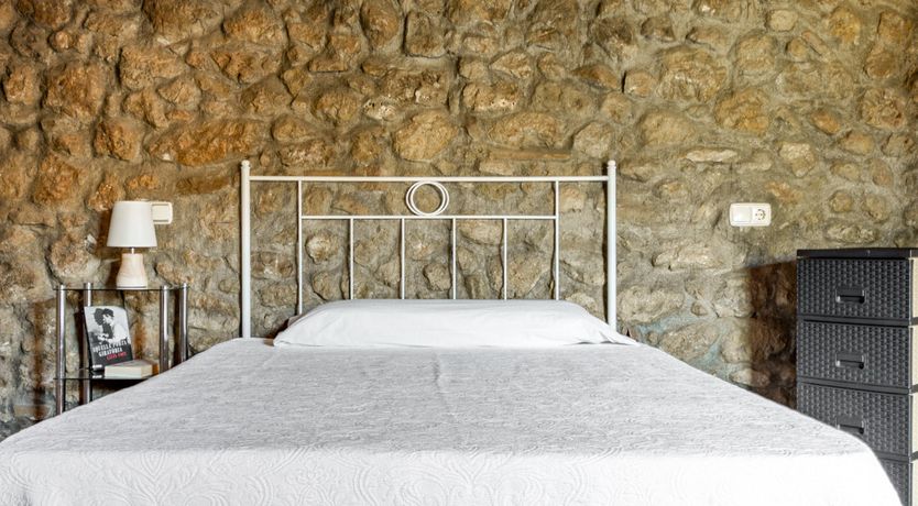 Photo of The Vine Harvest