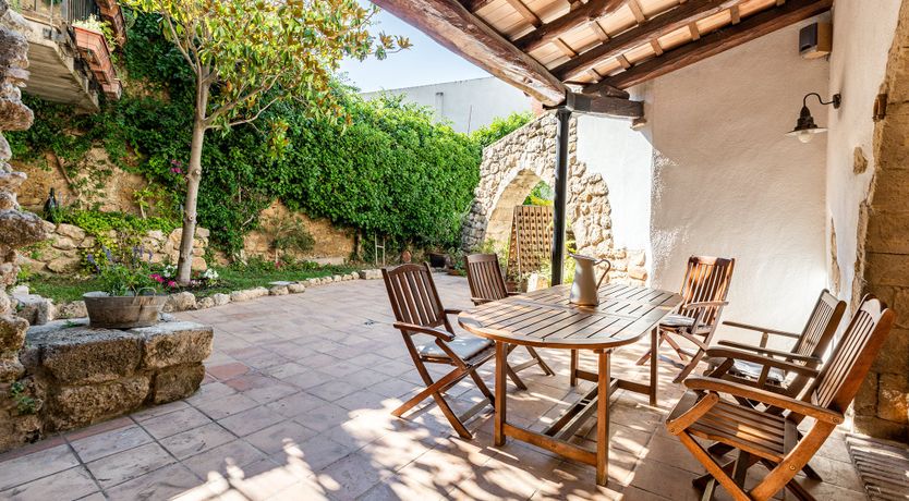 Photo of The Vine Harvest