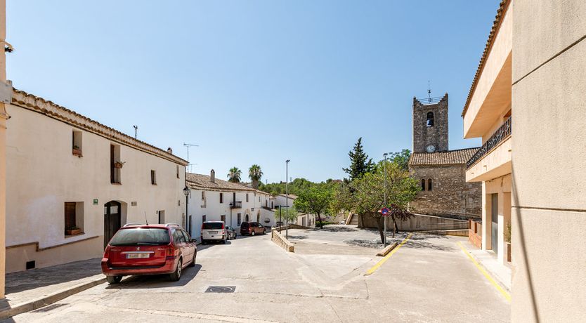 Photo of The Vine Harvest