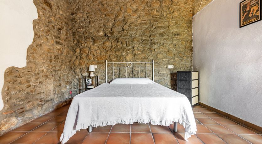 Photo of The Vine Harvest