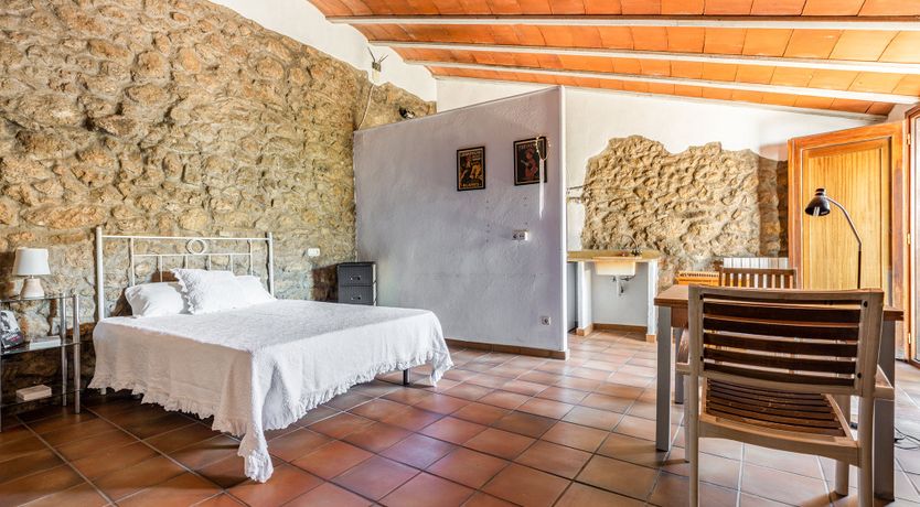 Photo of The Vine Harvest