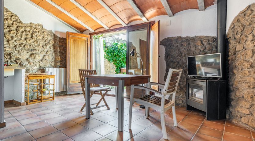 Photo of The Vine Harvest