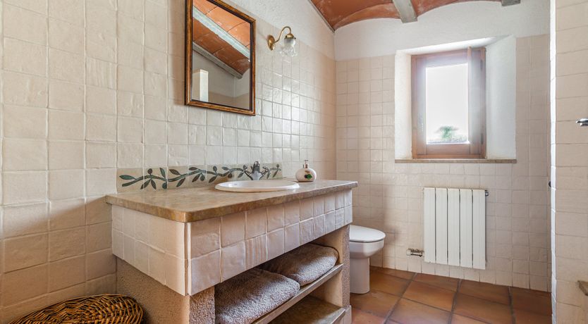 Photo of The Vine Harvest