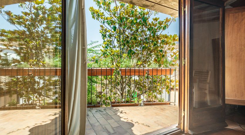 Photo of The Vine Harvest