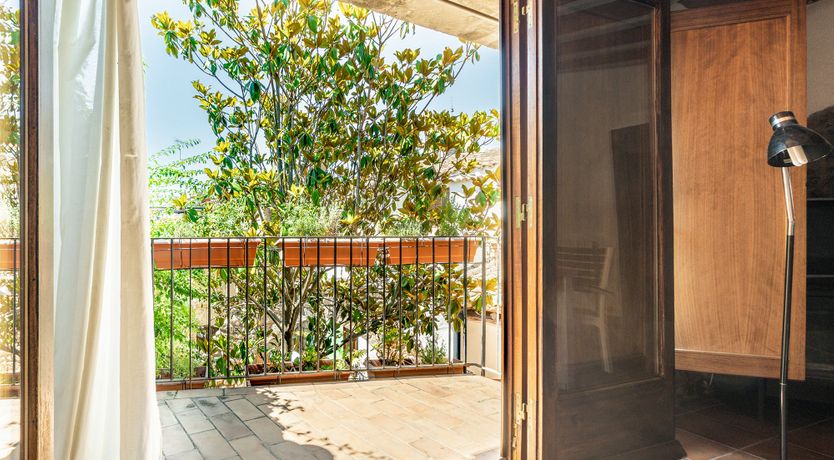 Photo of The Vine Harvest