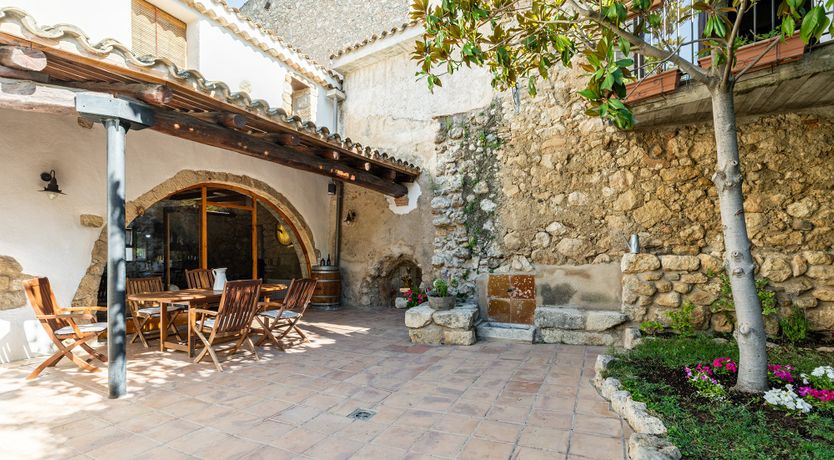 Photo of The Vine Harvest