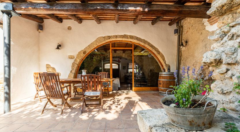 Photo of The Vine Harvest