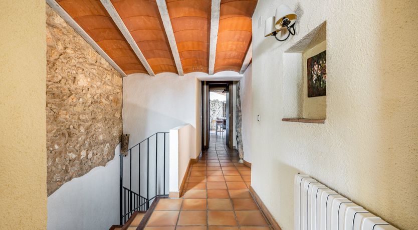 Photo of The Vine Harvest