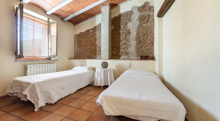 Photo of The Vine Harvest