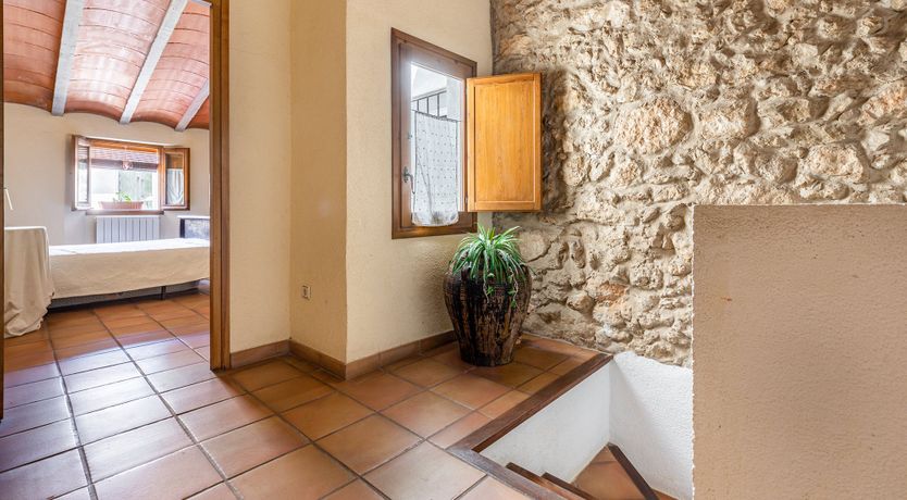 Photo of The Vine Harvest