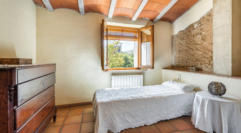 Photo of The Vine Harvest