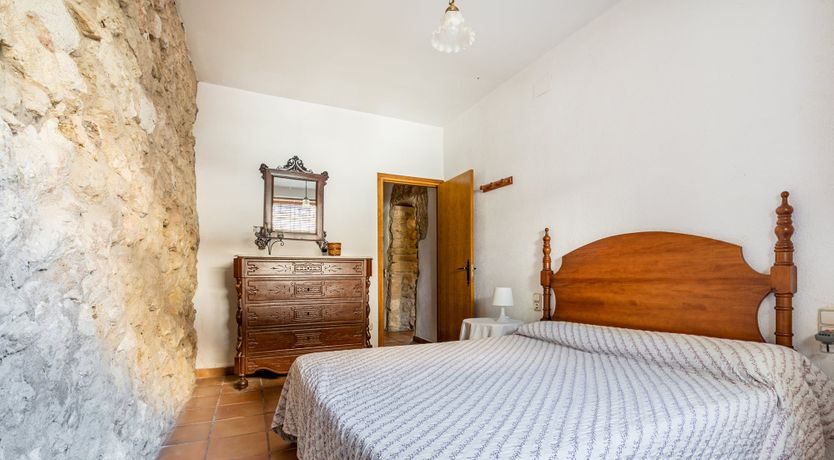 Photo of The Vine Harvest