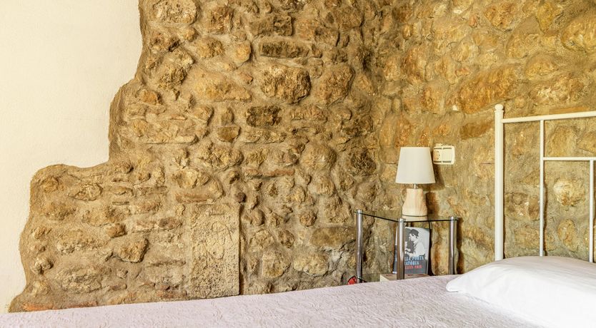 Photo of The Vine Harvest