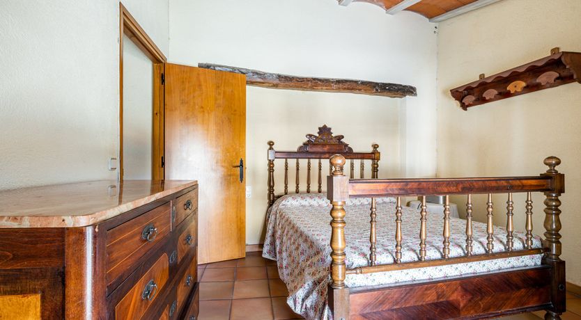 Photo of The Vine Harvest