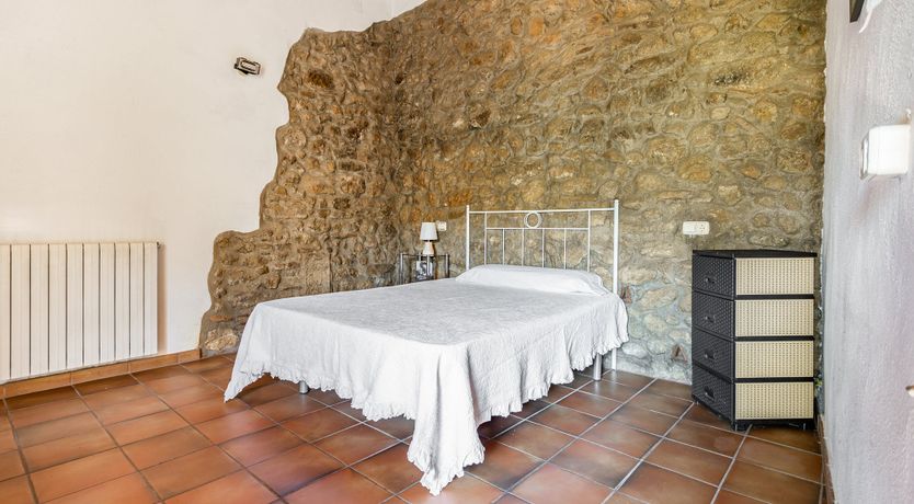 Photo of The Vine Harvest