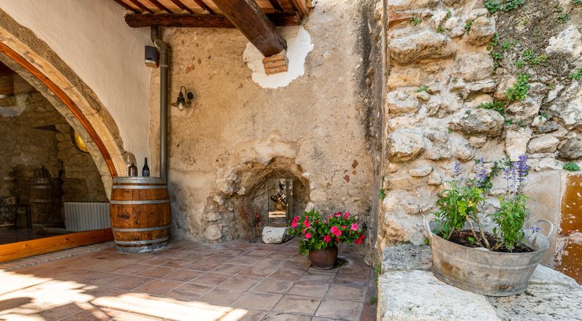 Photo of The Vine Harvest