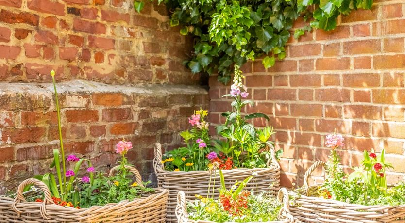 Photo of Village Views