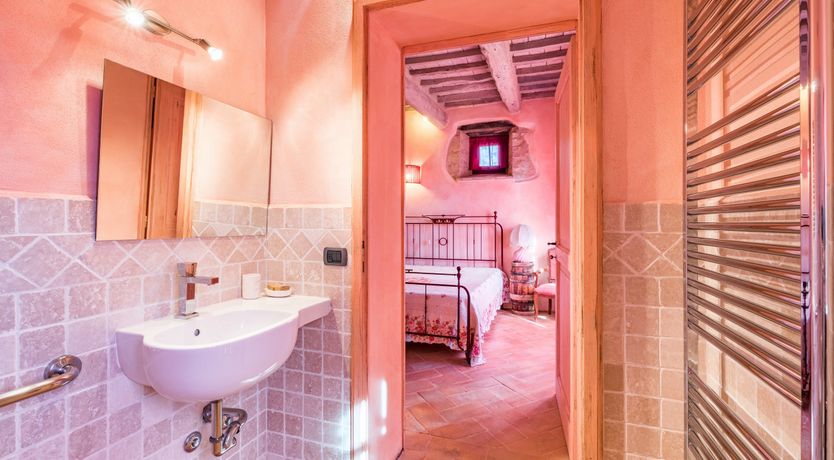 Photo of The Passion Flower