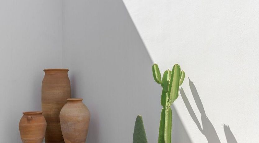 Photo of The Sea Glow