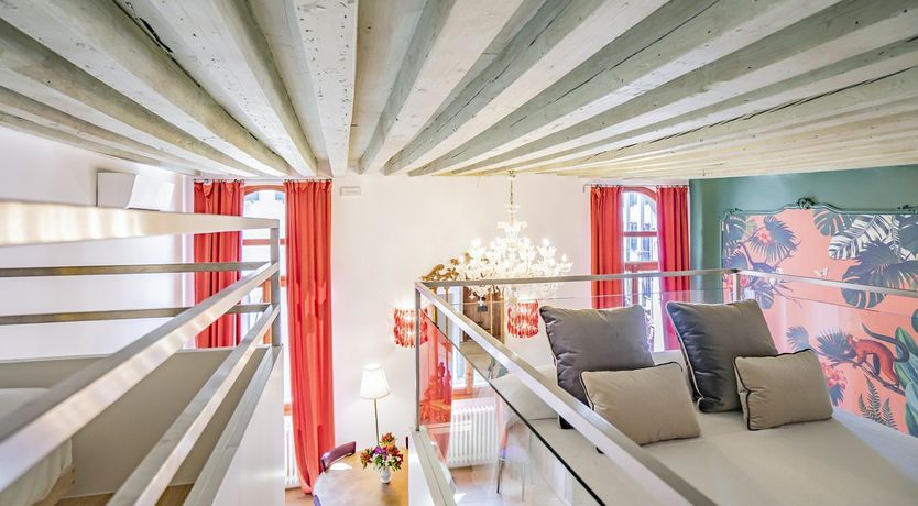 Photo of Monkeys & Monsteras