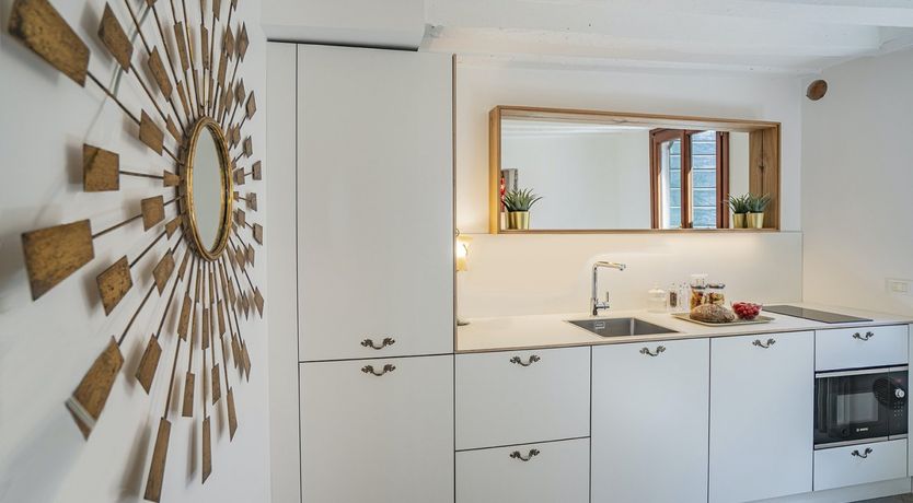 Photo of Monkeys & Monsteras