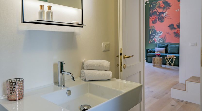 Photo of Monkeys & Monsteras