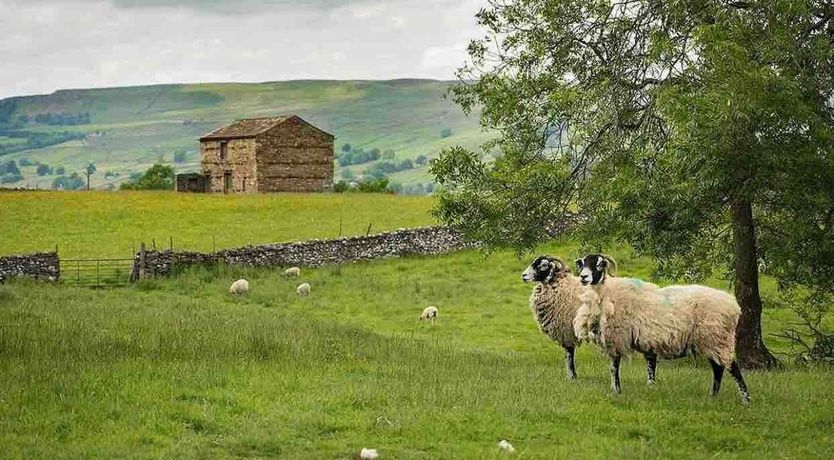 Photo of Life on the Green