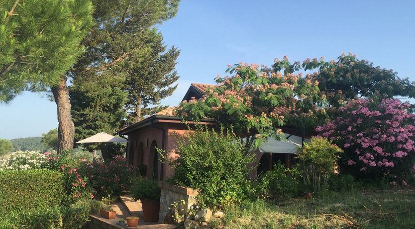 Photo of Flower Crown