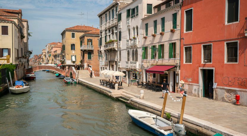 Photo of The Velvet Merchant