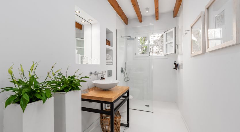 Photo of The Dancing Muse