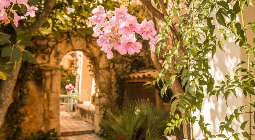 Photo of Olive & Fig