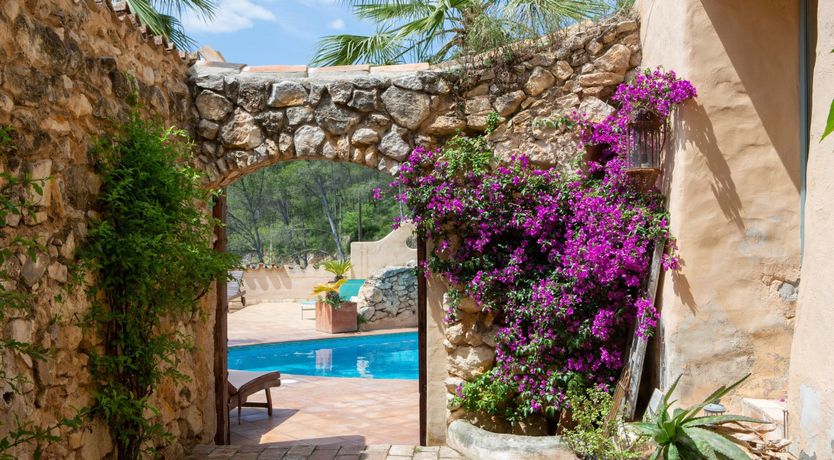 Photo of Olive & Fig