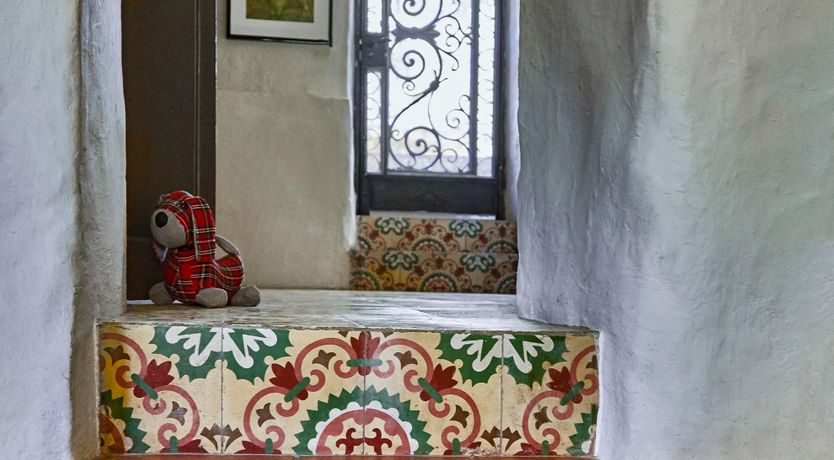 Photo of Olive & Fig