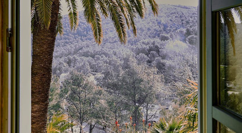 Photo of Olive & Fig