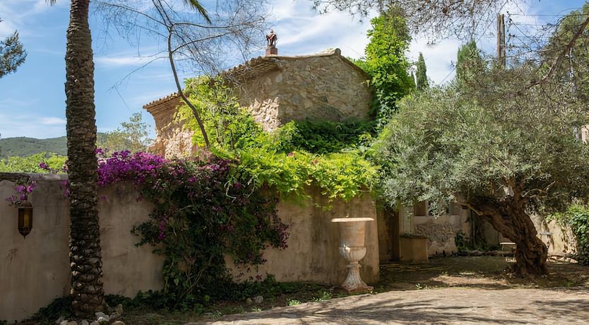 Photo of Olive & Fig