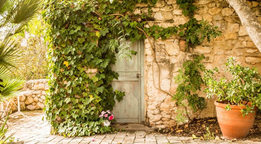 Photo of Olive & Fig