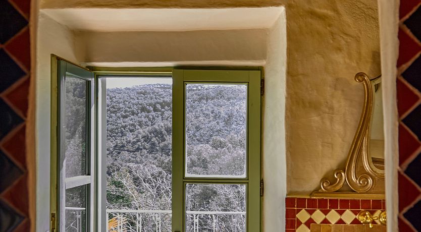 Photo of Olive & Fig