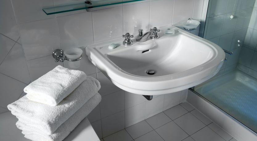 Photo of The Curator's Bounty