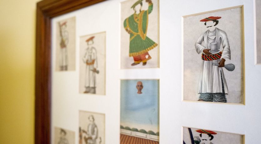 Photo of The Curator's Bounty