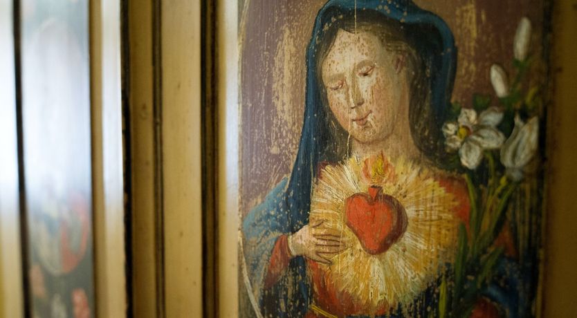 Photo of The Curator's Bounty