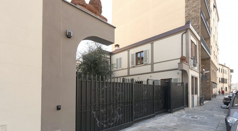 Photo of Olive Tree Shade