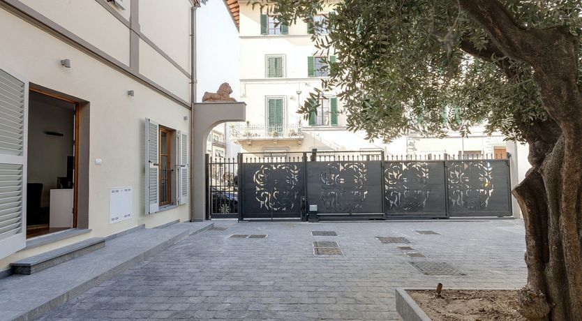 Photo of Olive Tree Shade