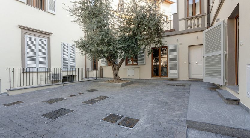 Photo of Olive Tree Shade