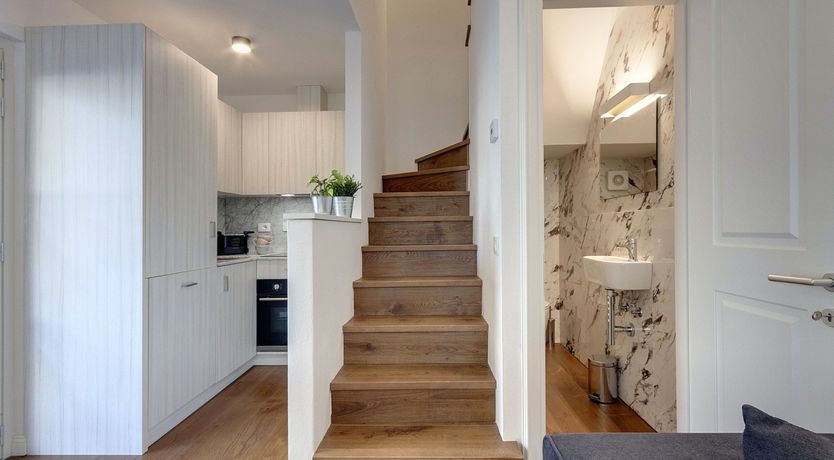 Photo of Olive Tree Shade